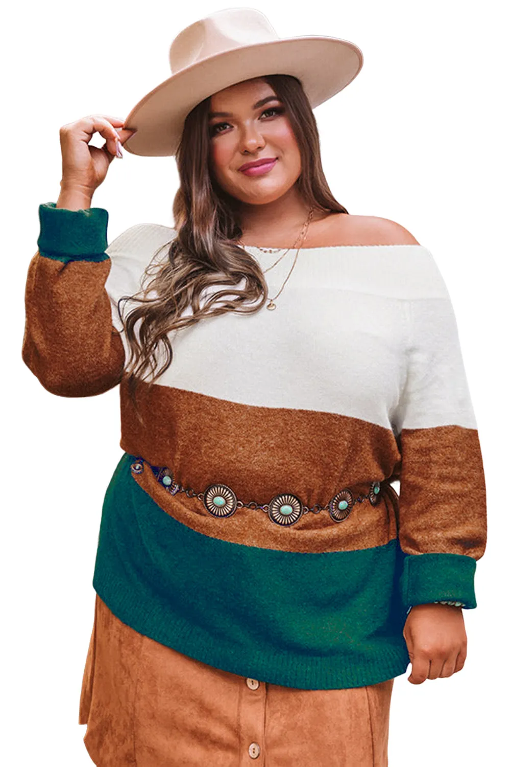 Brown Plus Size Ribbed Trim Color Block Sweater