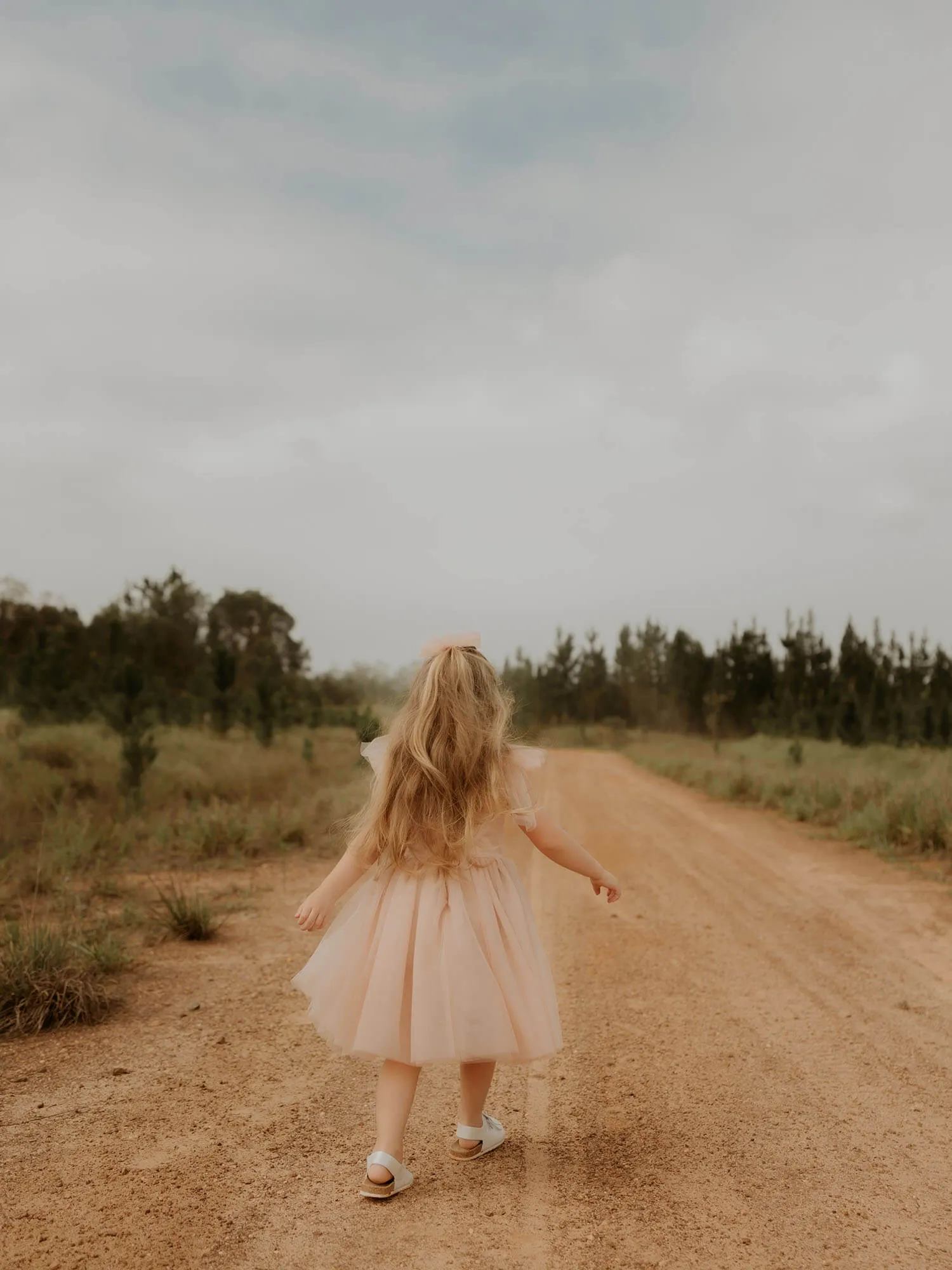Isla dress - tea length - champagne