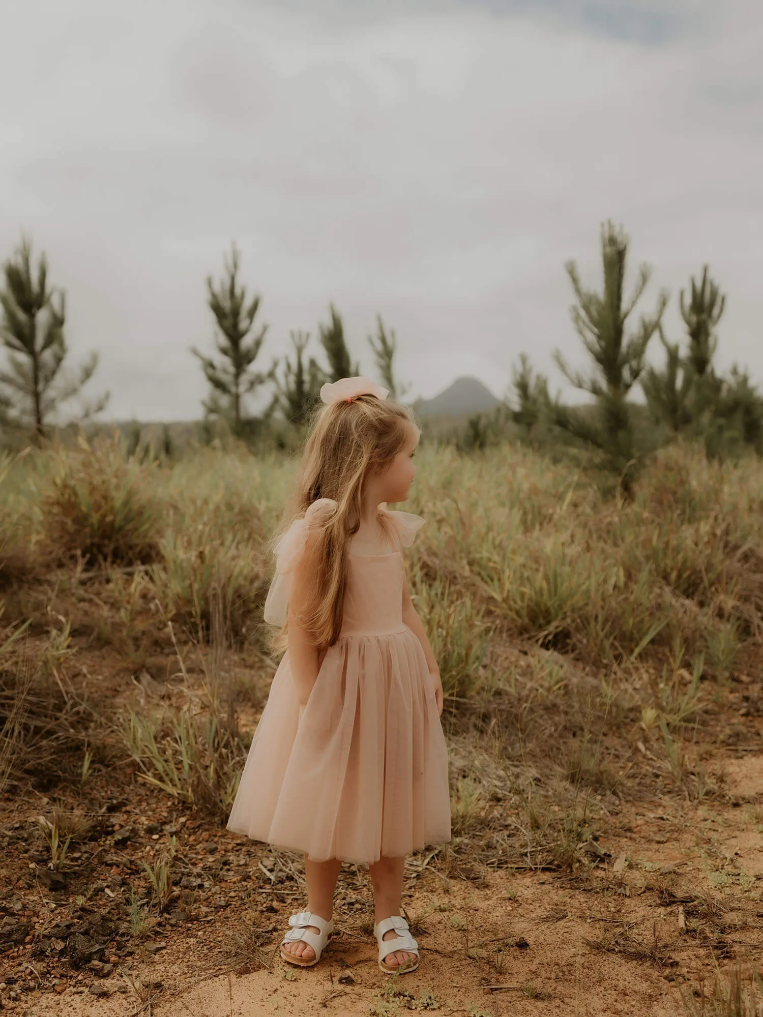 Isla dress - tea length - champagne