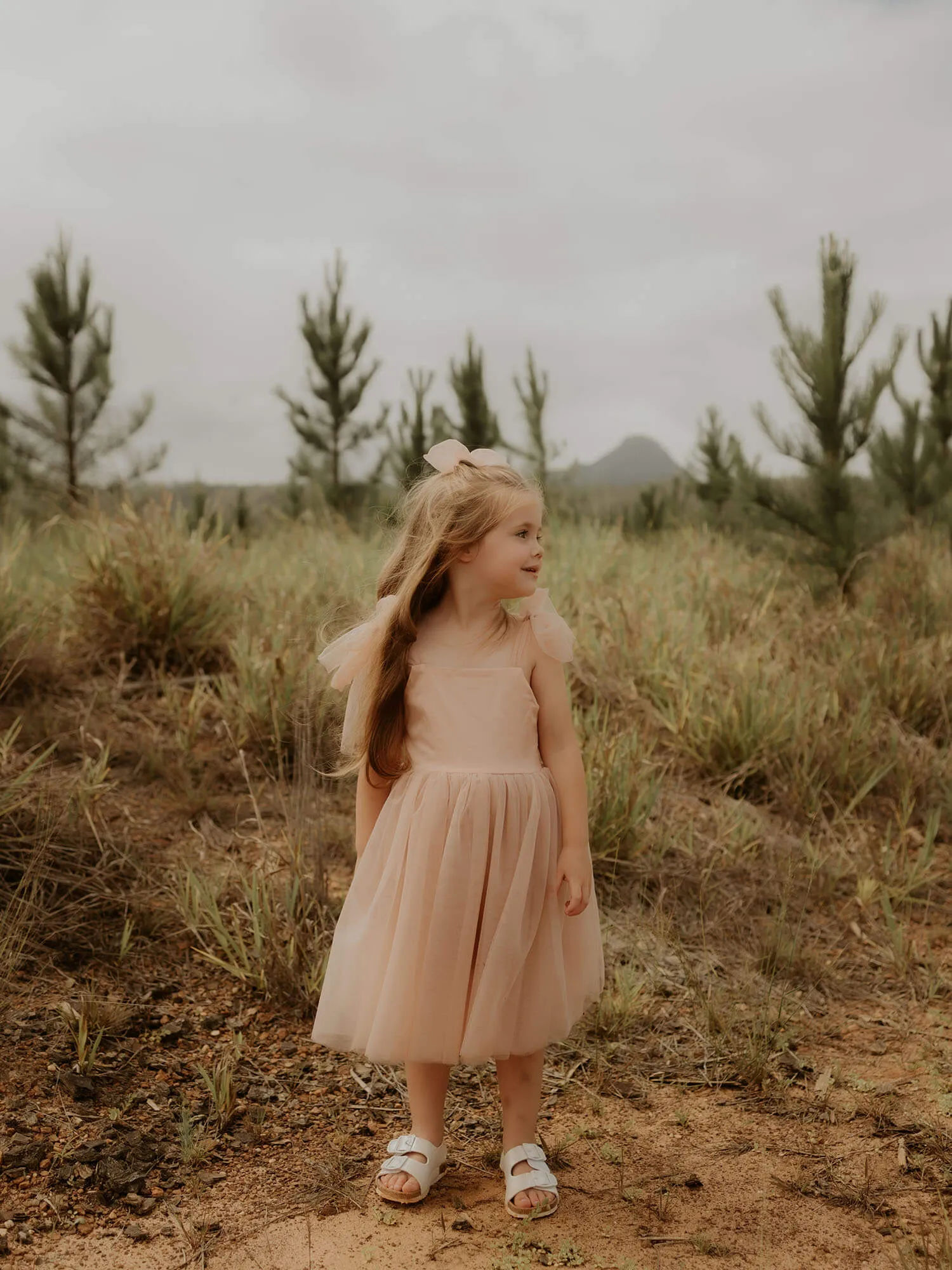 Isla dress - tea length - champagne