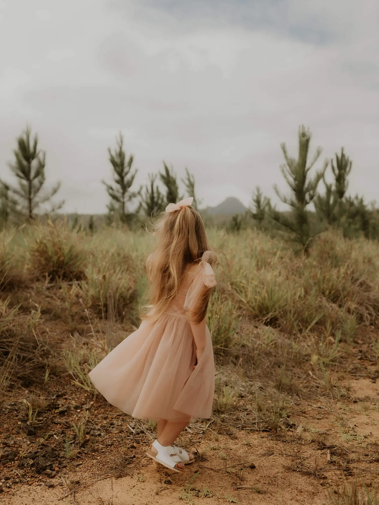 Isla dress - tea length - champagne