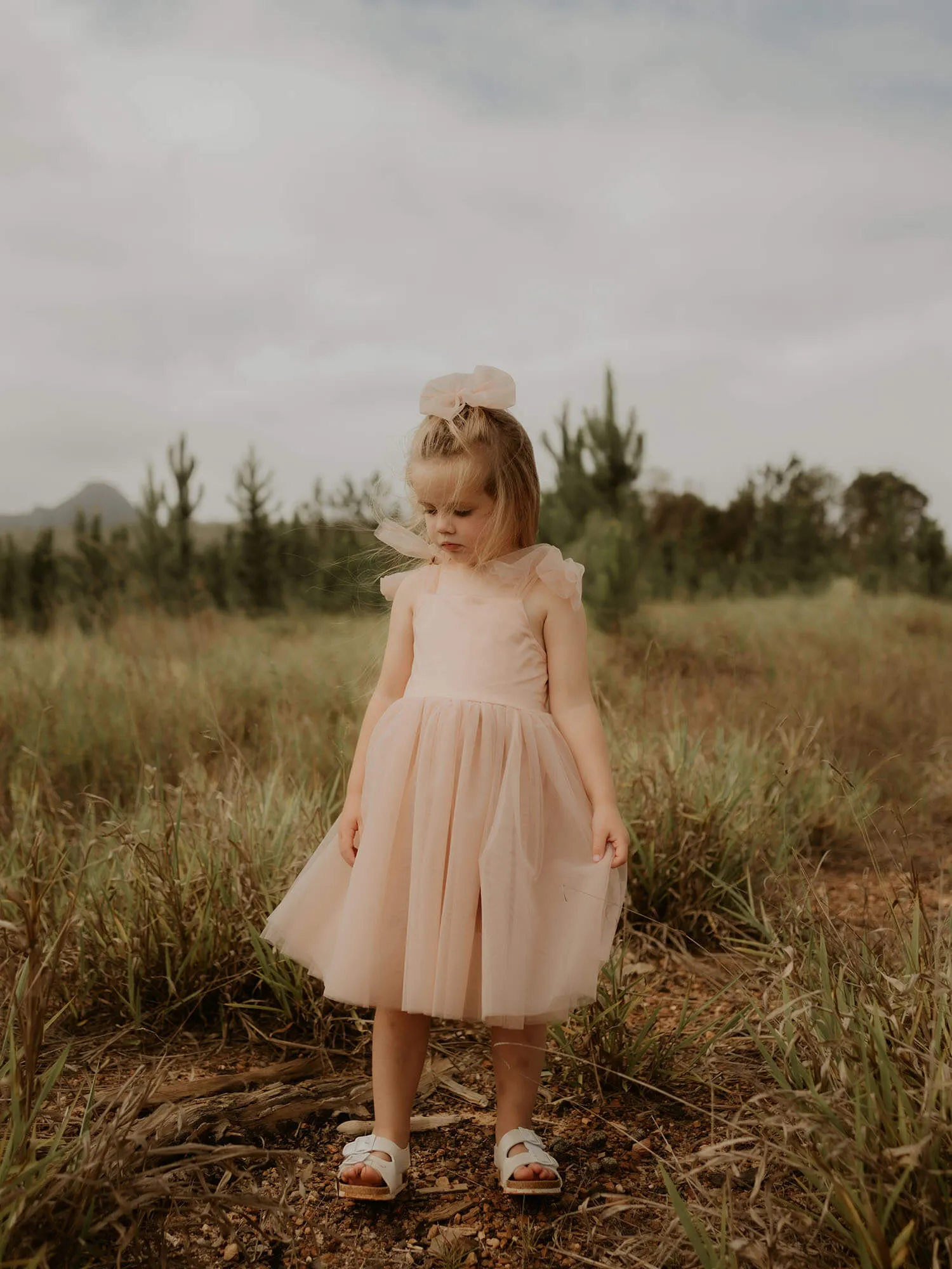Isla dress - tea length - champagne