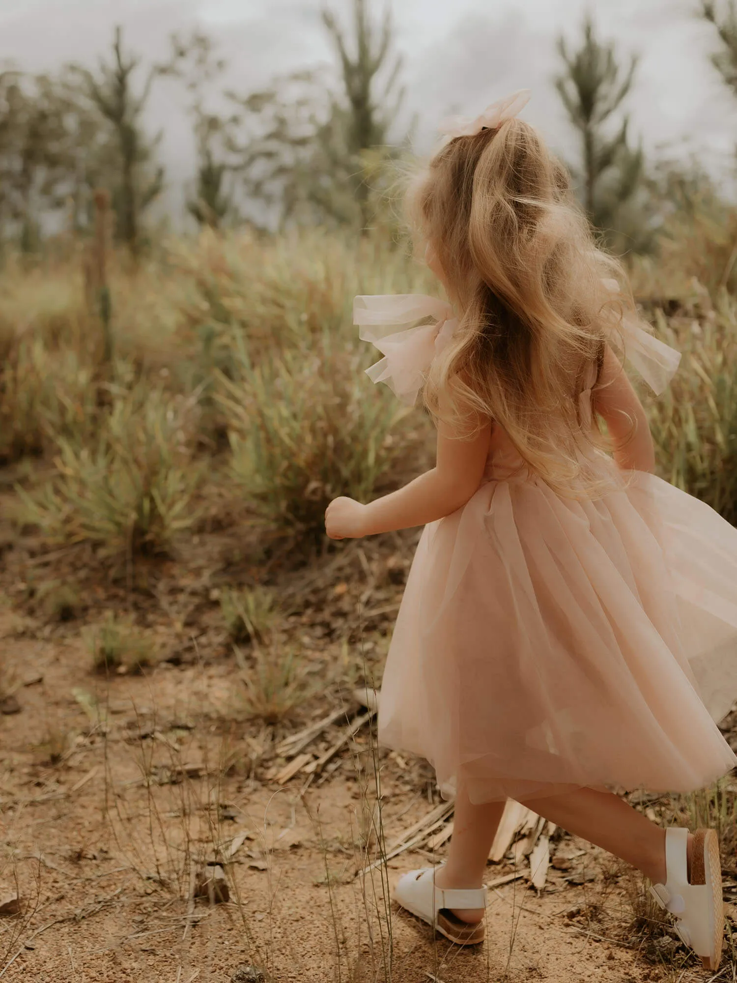 Isla dress - tea length - champagne
