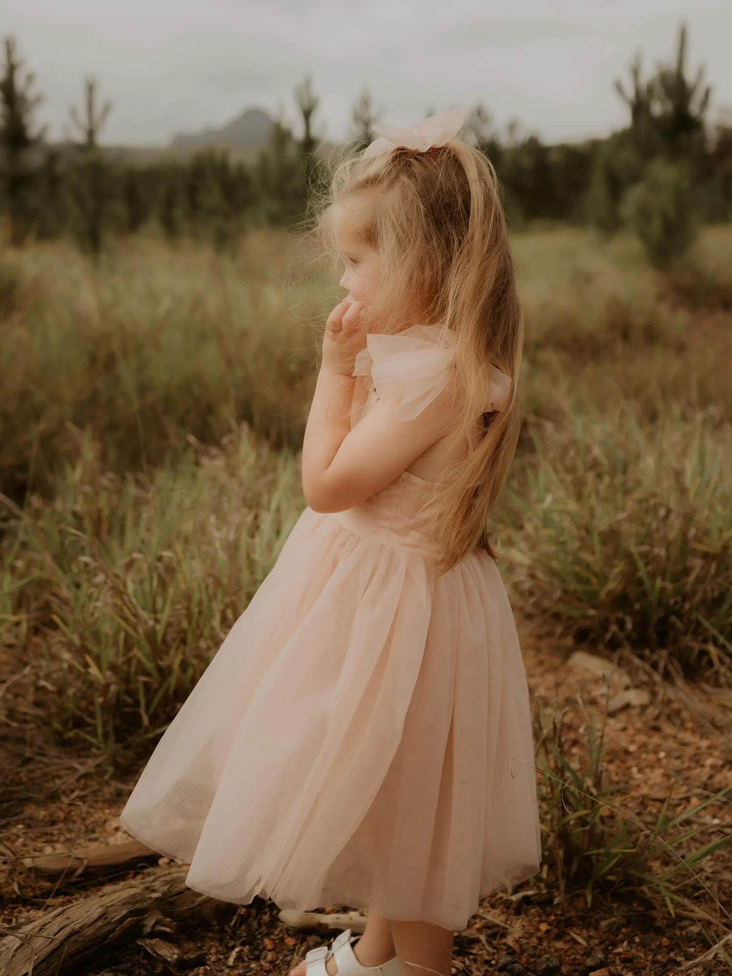 Isla dress - tea length - champagne