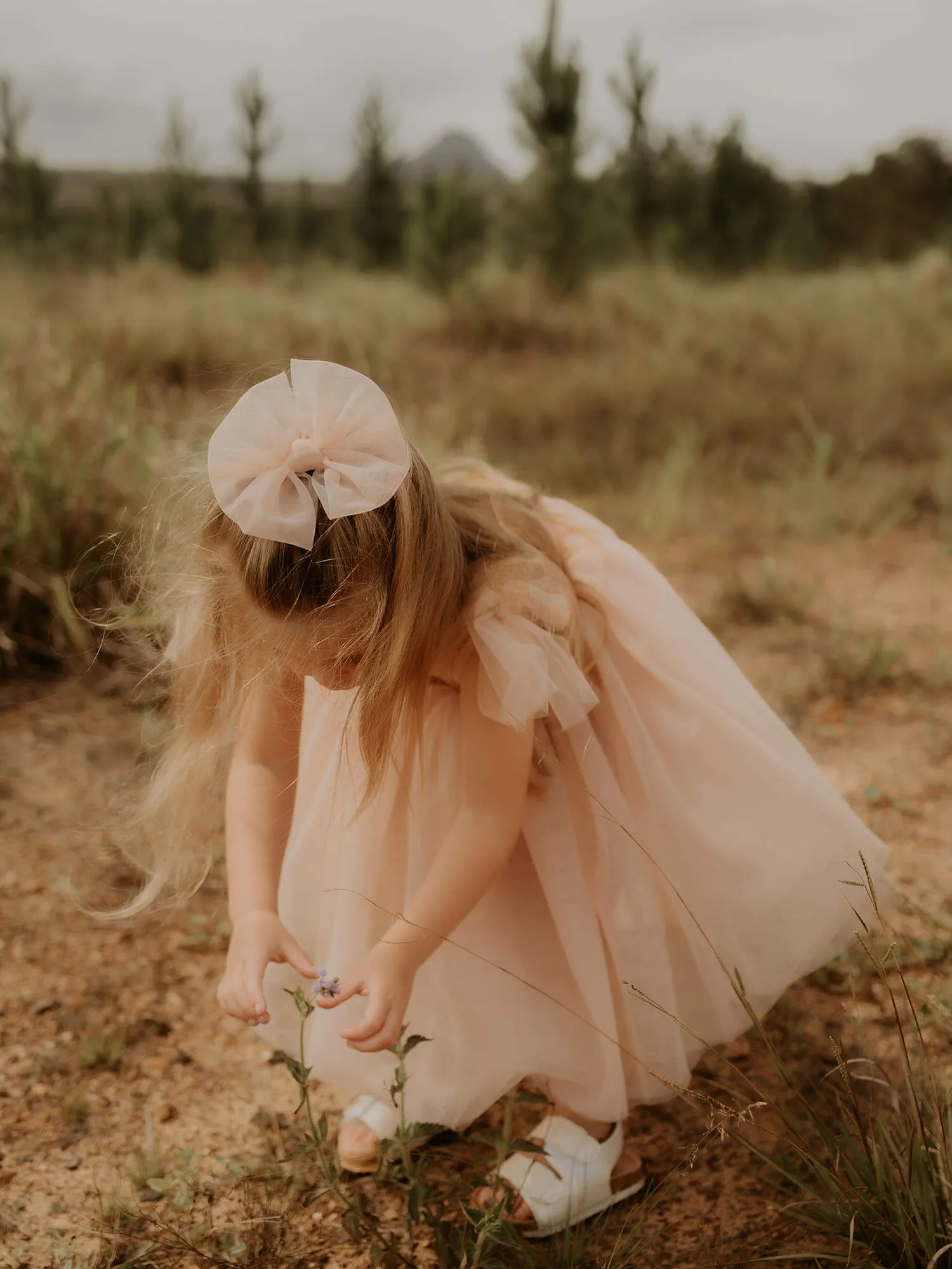 Isla dress - tea length - champagne