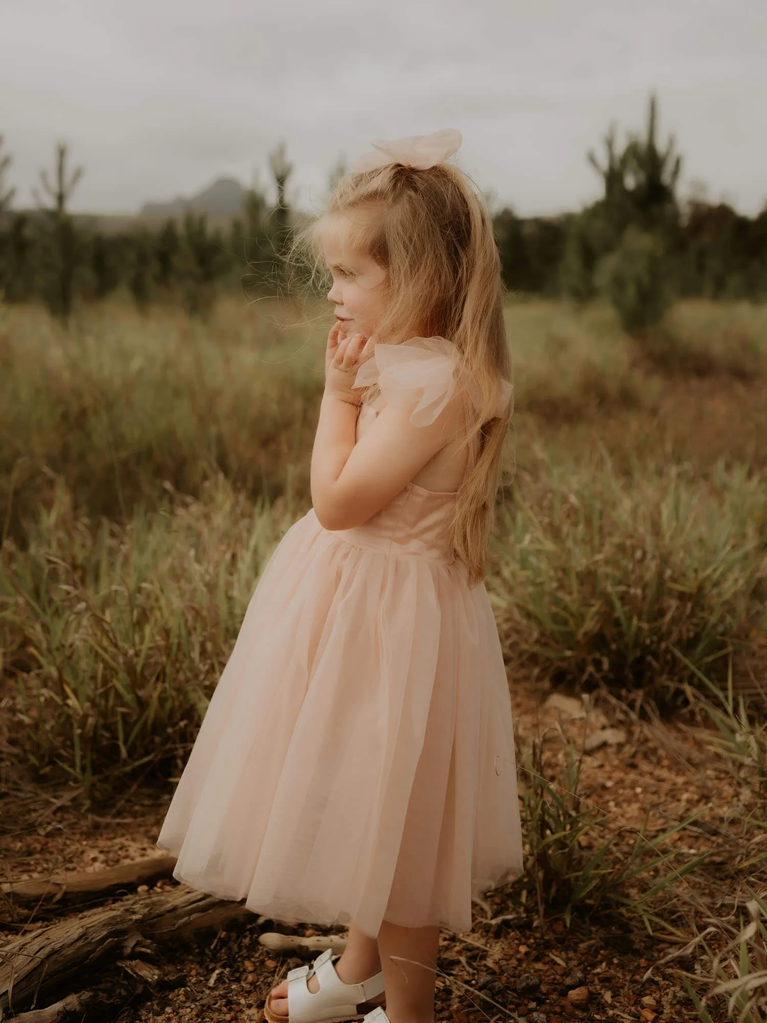 Isla dress - tea length - champagne