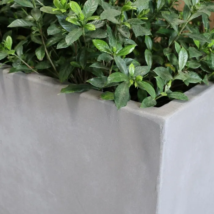 Raw Concrete Planters (Square)
